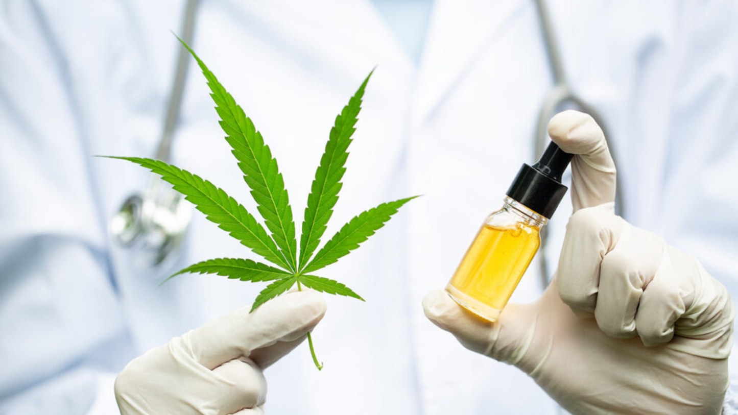 Consulenza CBD Gratuita