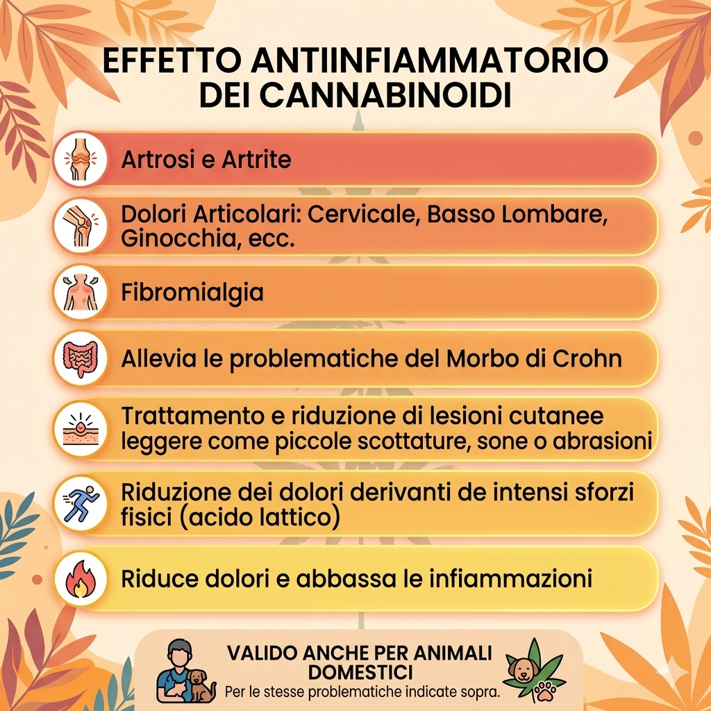 Olio CBD 15% Full Spectrum – Cascina Roncato
